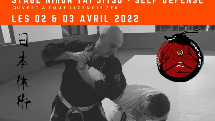 Stage Nihon Tai Jitsu / Self Défense avec Philippe AVRIL Sensei